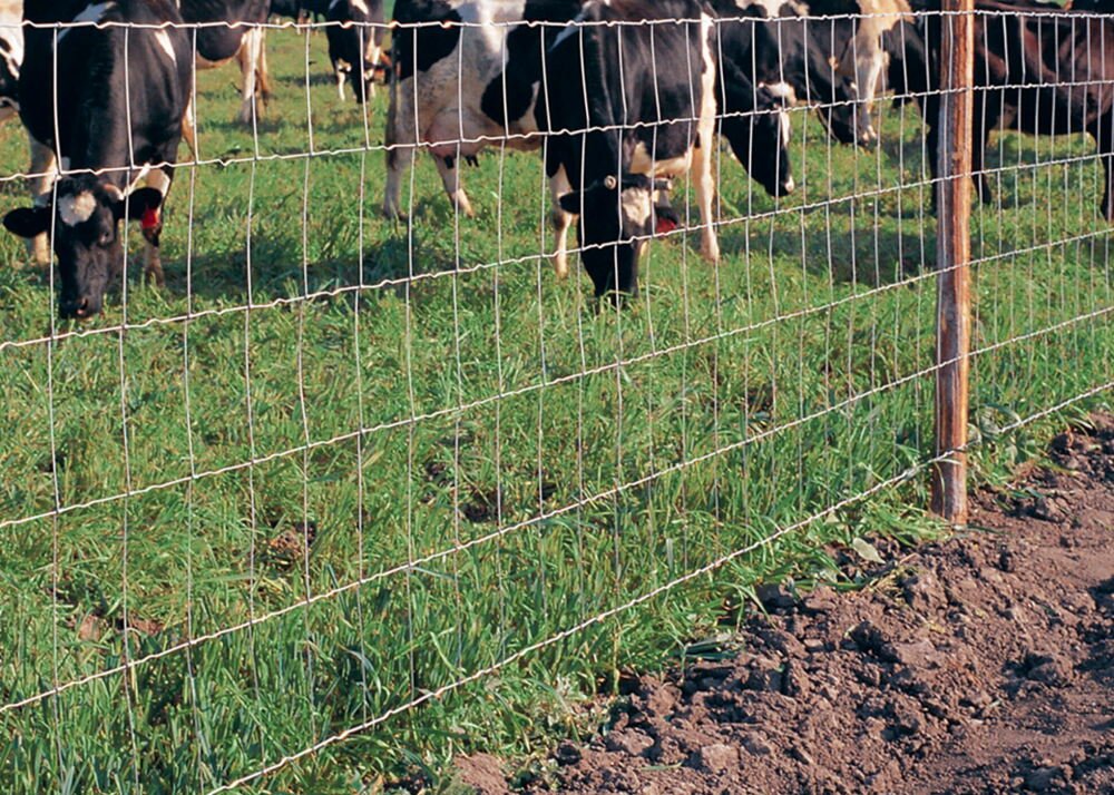 farm security reinvented benefits high tensile wire fencing