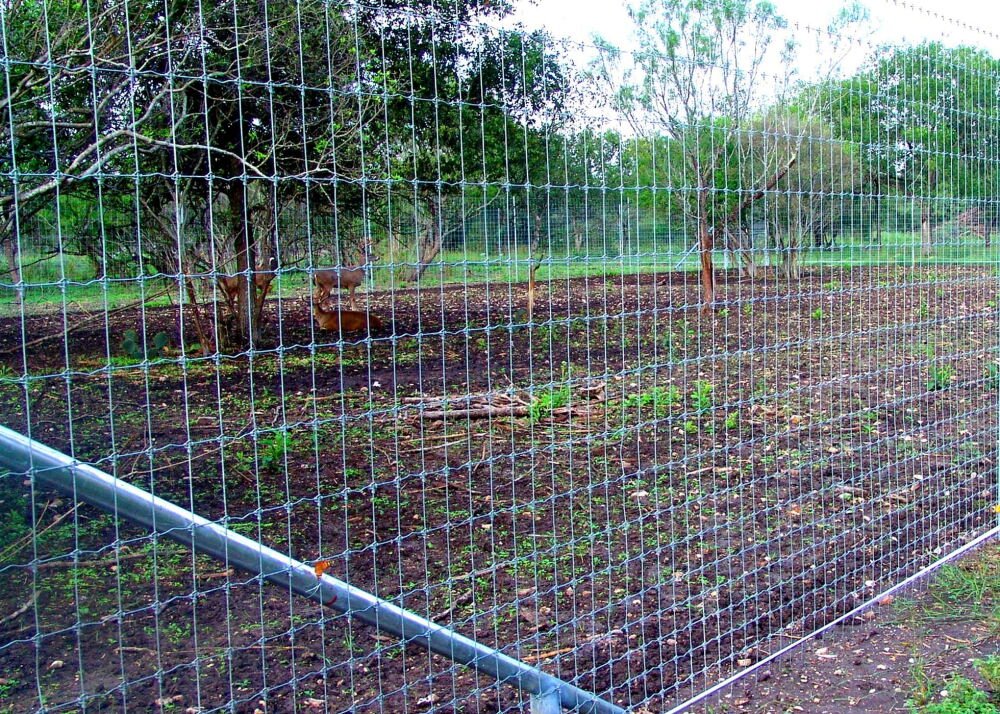 farm security reinvented benefits high tensile wire fencing