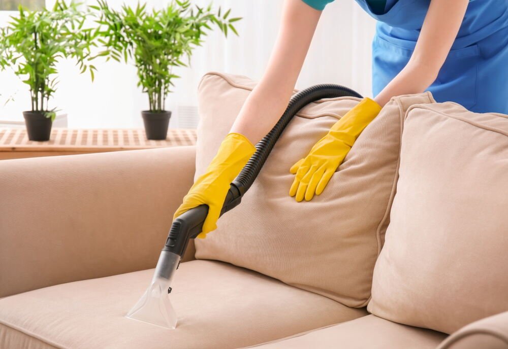 professional couch cleaning home health aesthetics