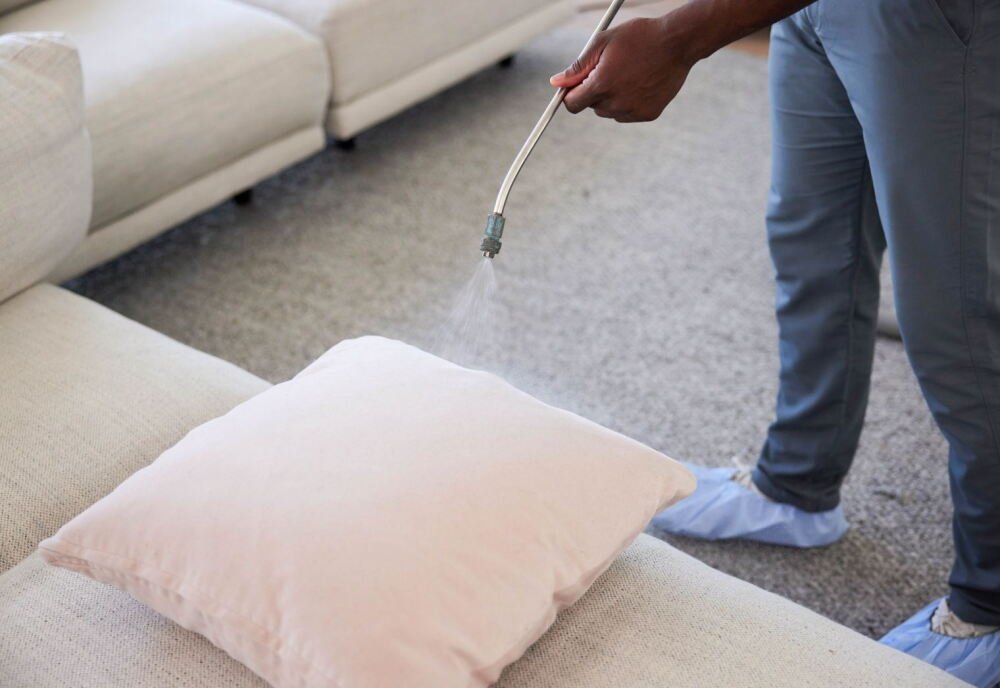 professional couch cleaning home health aesthetics