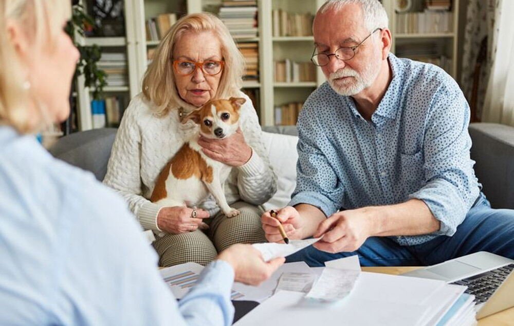 sitting pet nannies offer emotional support specialized care