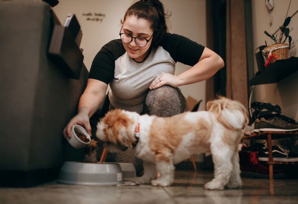 sitting pet nannies offer emotional support specialized care