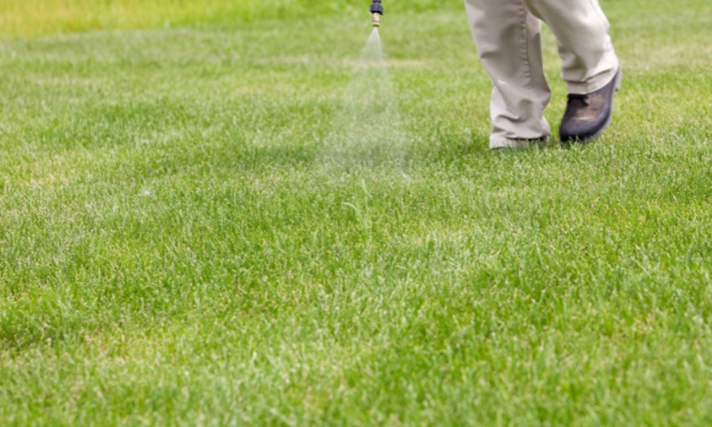 winter lawn care tips 212