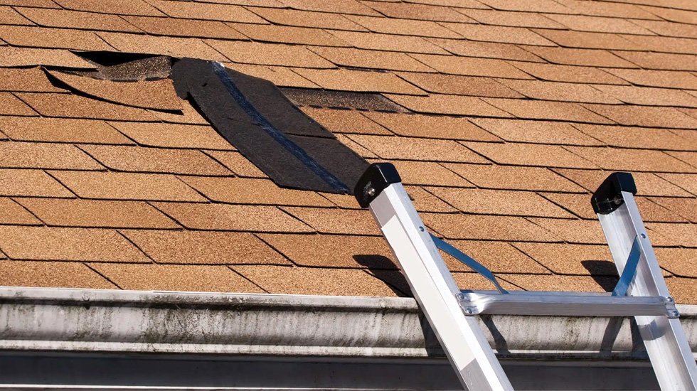 your roof needs repairs 1