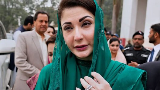 76% of maryam nawaz’s twitter followers