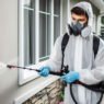 hidden pest problems solved by an exterminator