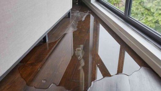 common causes of water damage and how to prevent them