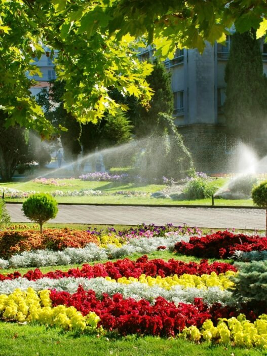 landscaping essentials for a thriving outdoor space