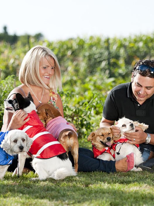 the importance of being ready for emergencies