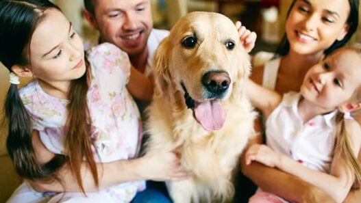 5 ways general veterinarians build trust with pet families