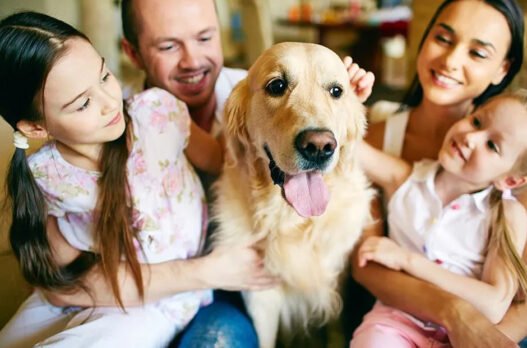 5 ways general veterinarians build trust with pet families