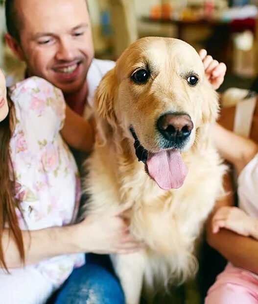 5 ways general veterinarians build trust with pet families