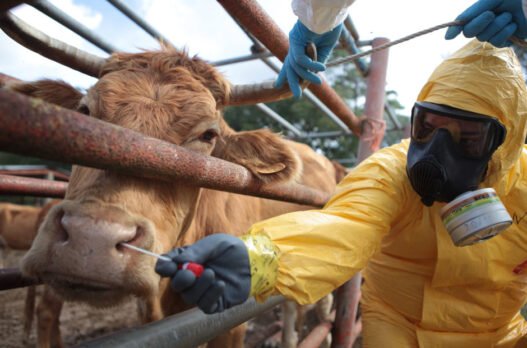 how animal hospitals prepare for natural disaster response