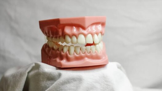 how general dentists help maintain natural teeth longer