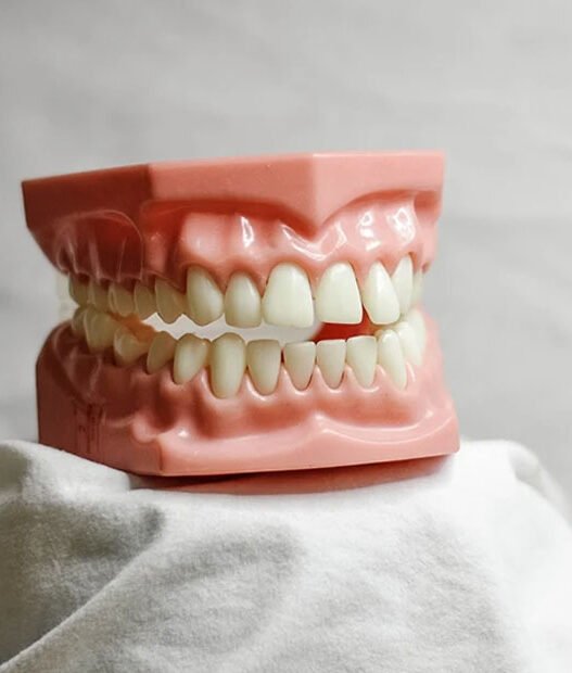 how general dentists help maintain natural teeth longer