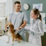 animal clinics