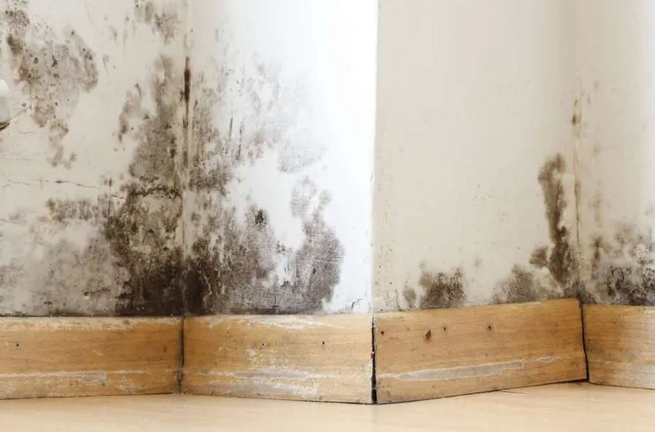 arizona landlord mold issues