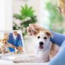 how veterinary clinics are embracing telehealth services