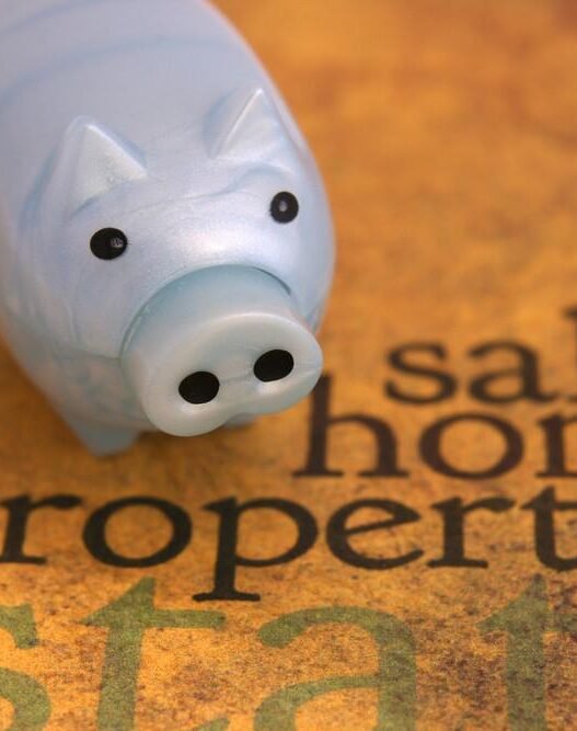 which home improvements can raise property value