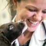 why animal hospitals are essential for parasite prevention
