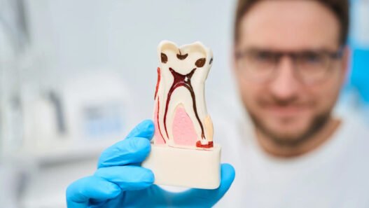 how endodontists diagnose tooth pain more precisely