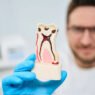 how endodontists diagnose tooth pain more precisely