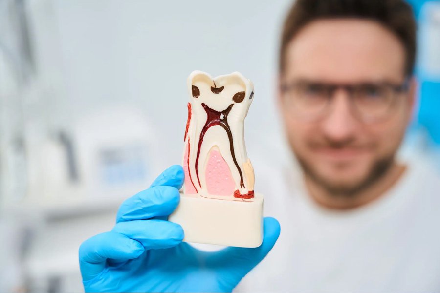 how endodontists diagnose tooth pain more precisely
